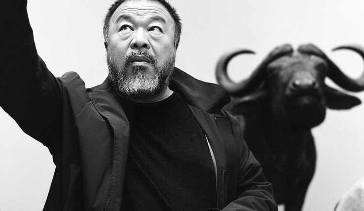 Ai Weiwei – Transcending Borders Ausstellung | Villa Seilern Vital Resort